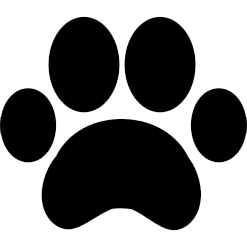Ammessi animali domestici